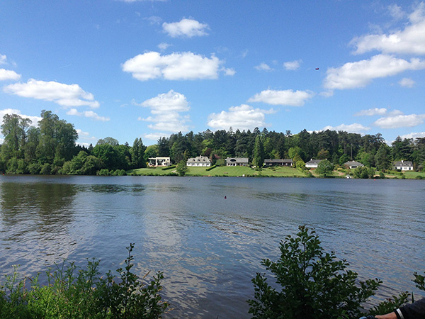 Les bords de Loire Nantes